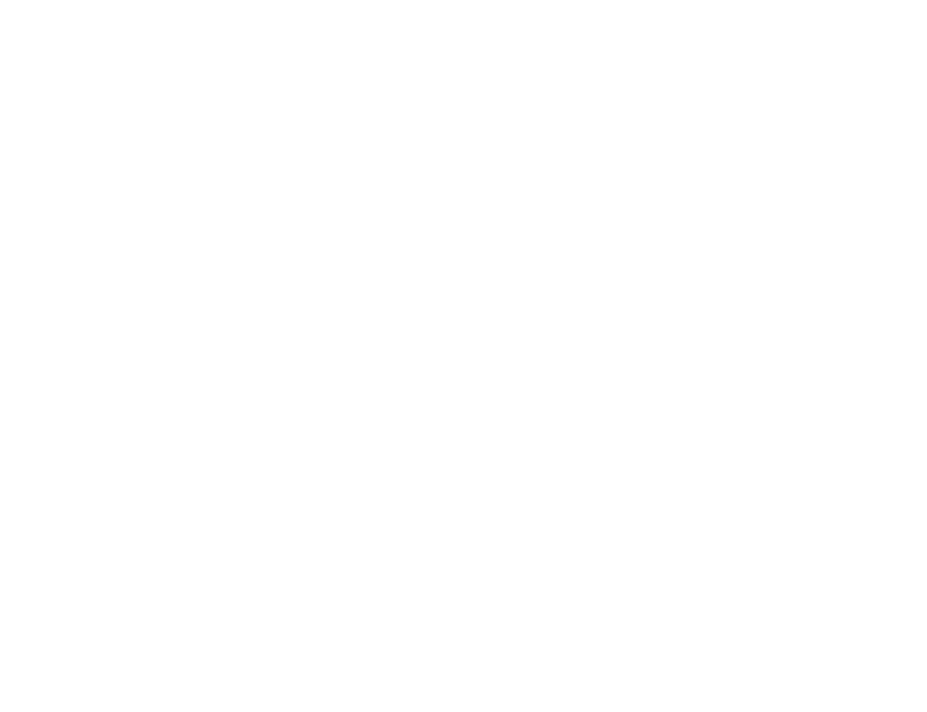 Dutch Valley Roofing